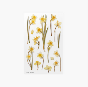 Appree Pressed Stickers- 029 Narcissus - Smidapaper Ikigai Shop