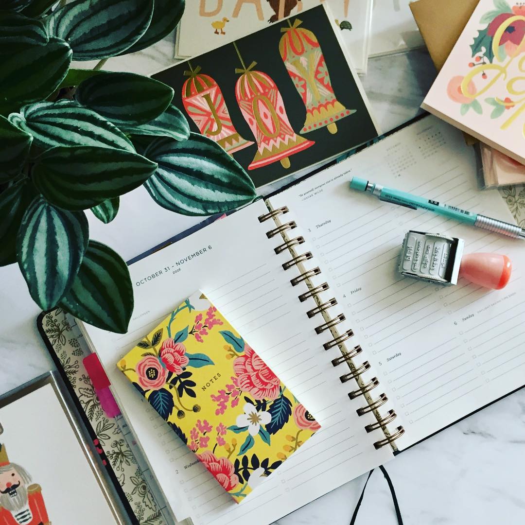 Rifle Paper Co.