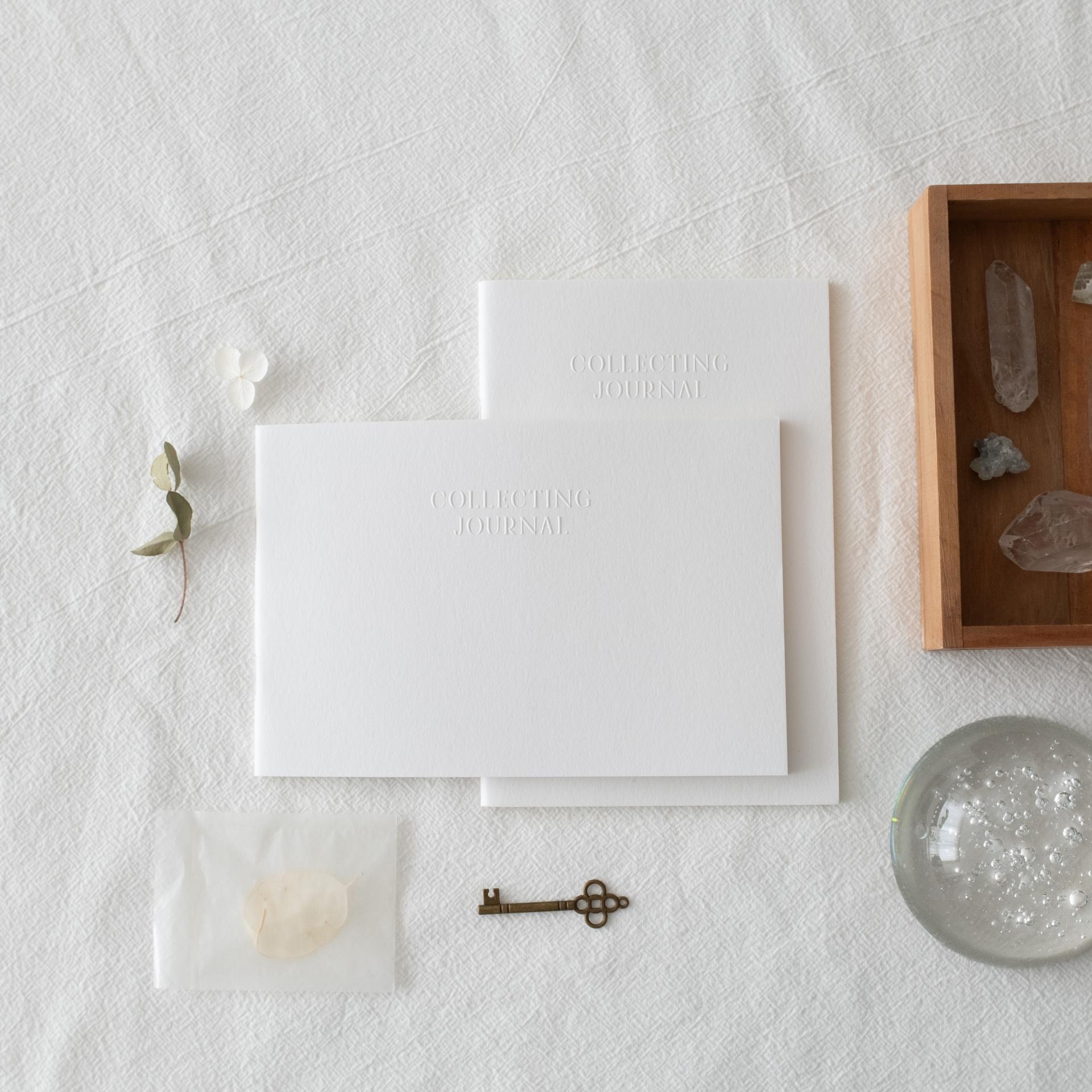 Day and Moment Collecting Journal (2 types)