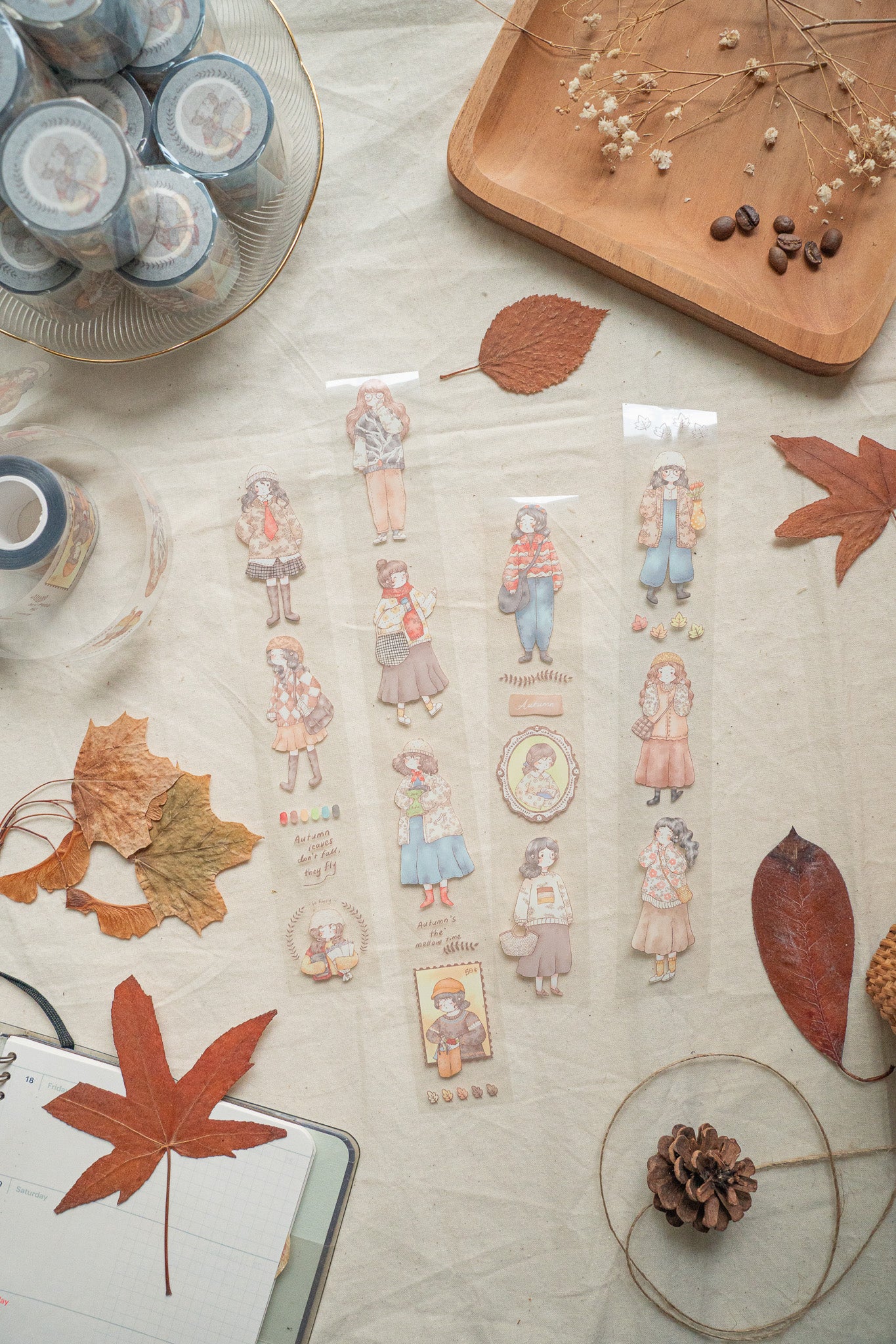Autumn Girls PET Tape