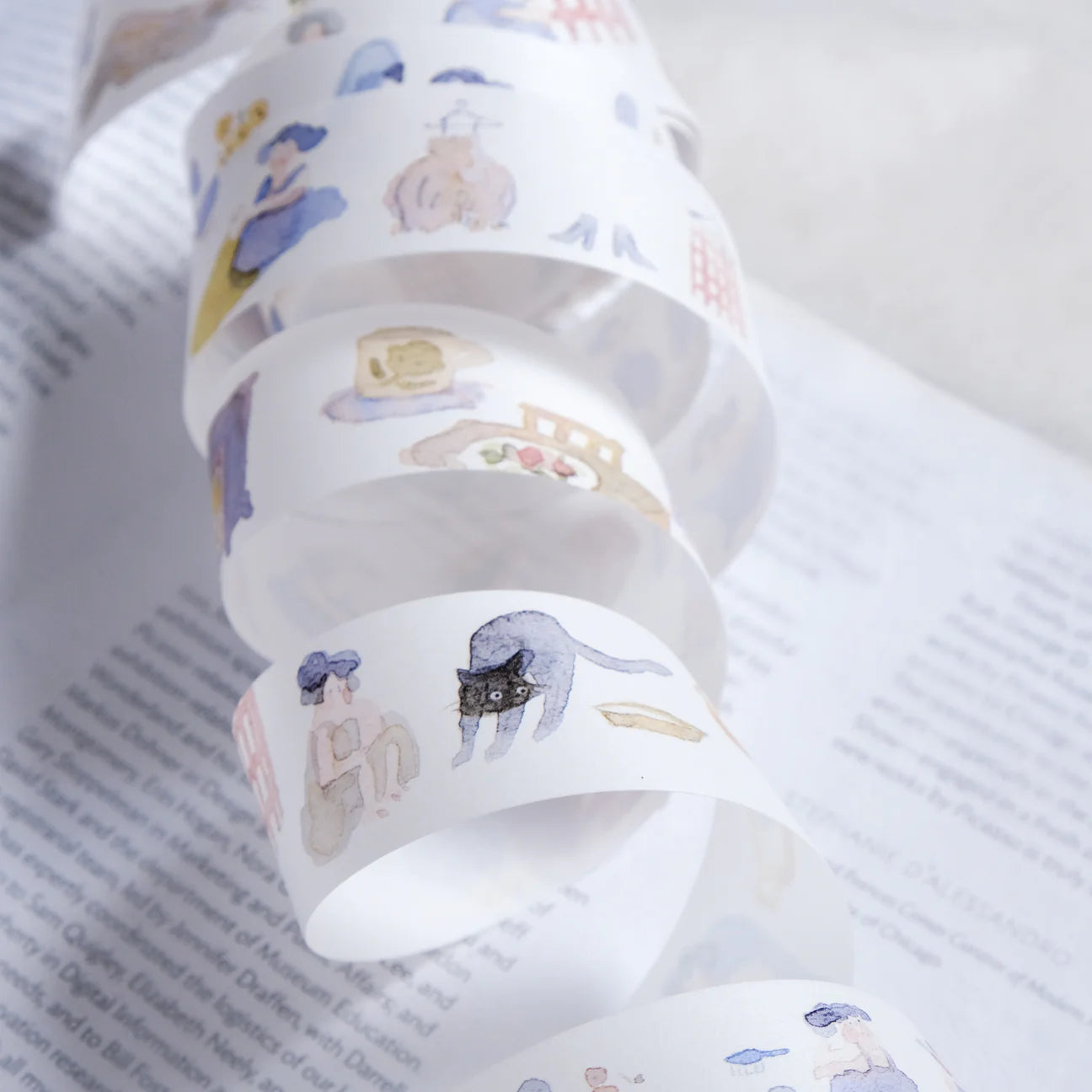 dodolulu Home PET Tape