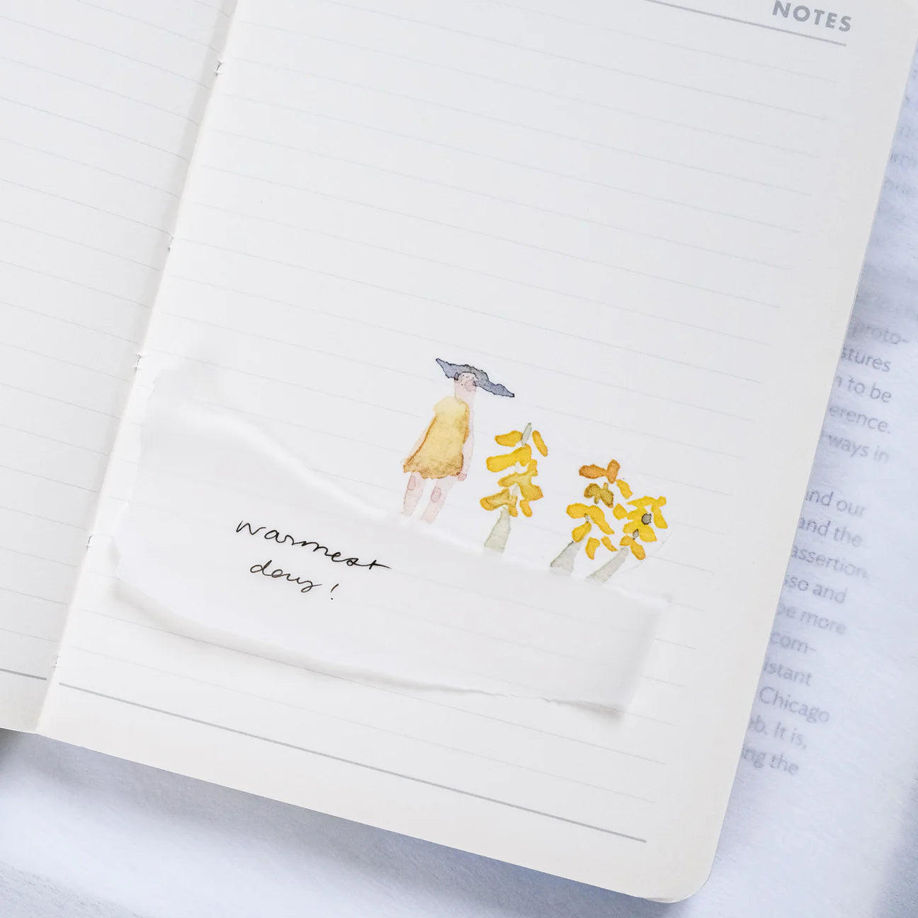 dodolulu A Beautiful Day PET Tape