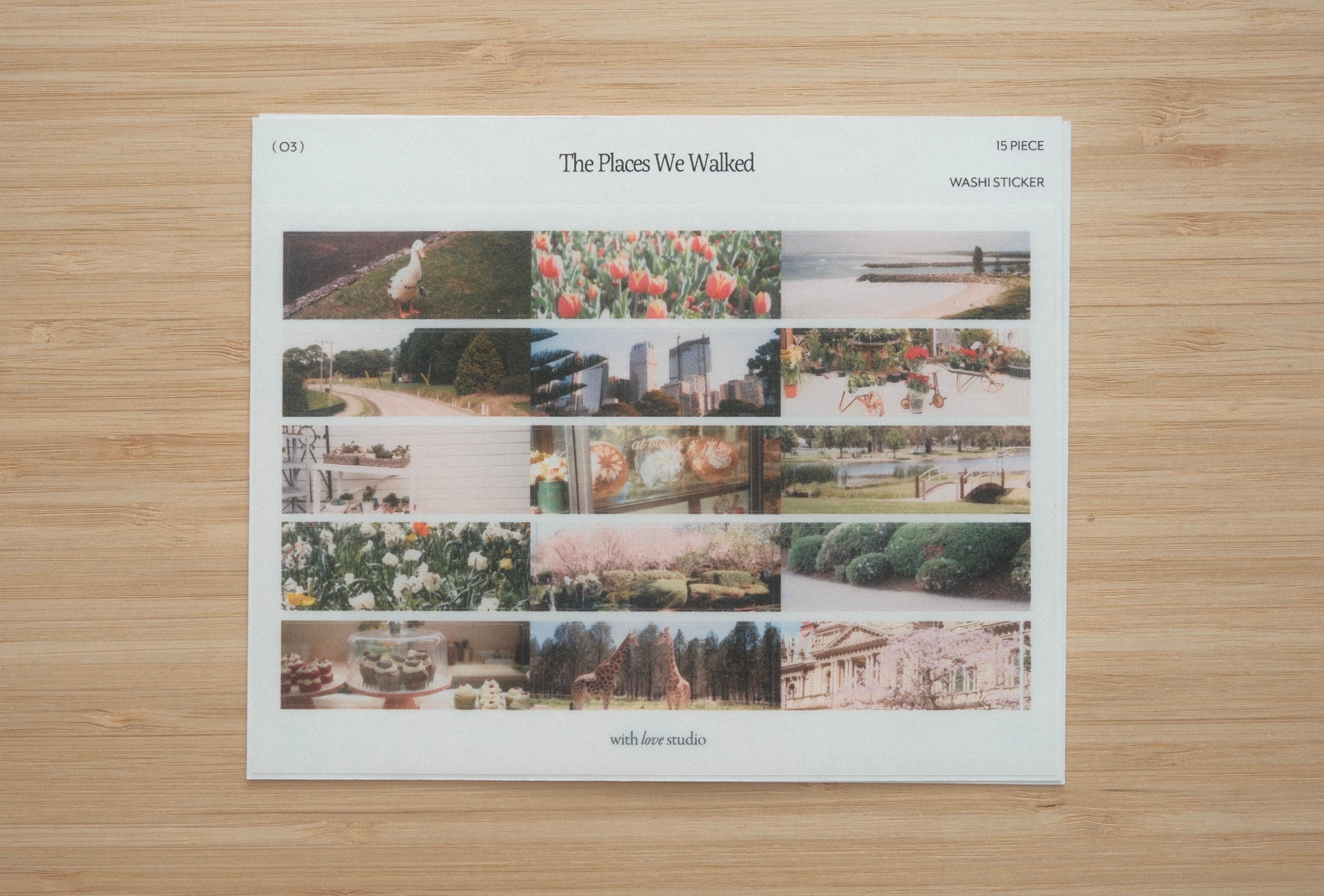 The Places We Walked Sticker Sheet (4 designs)