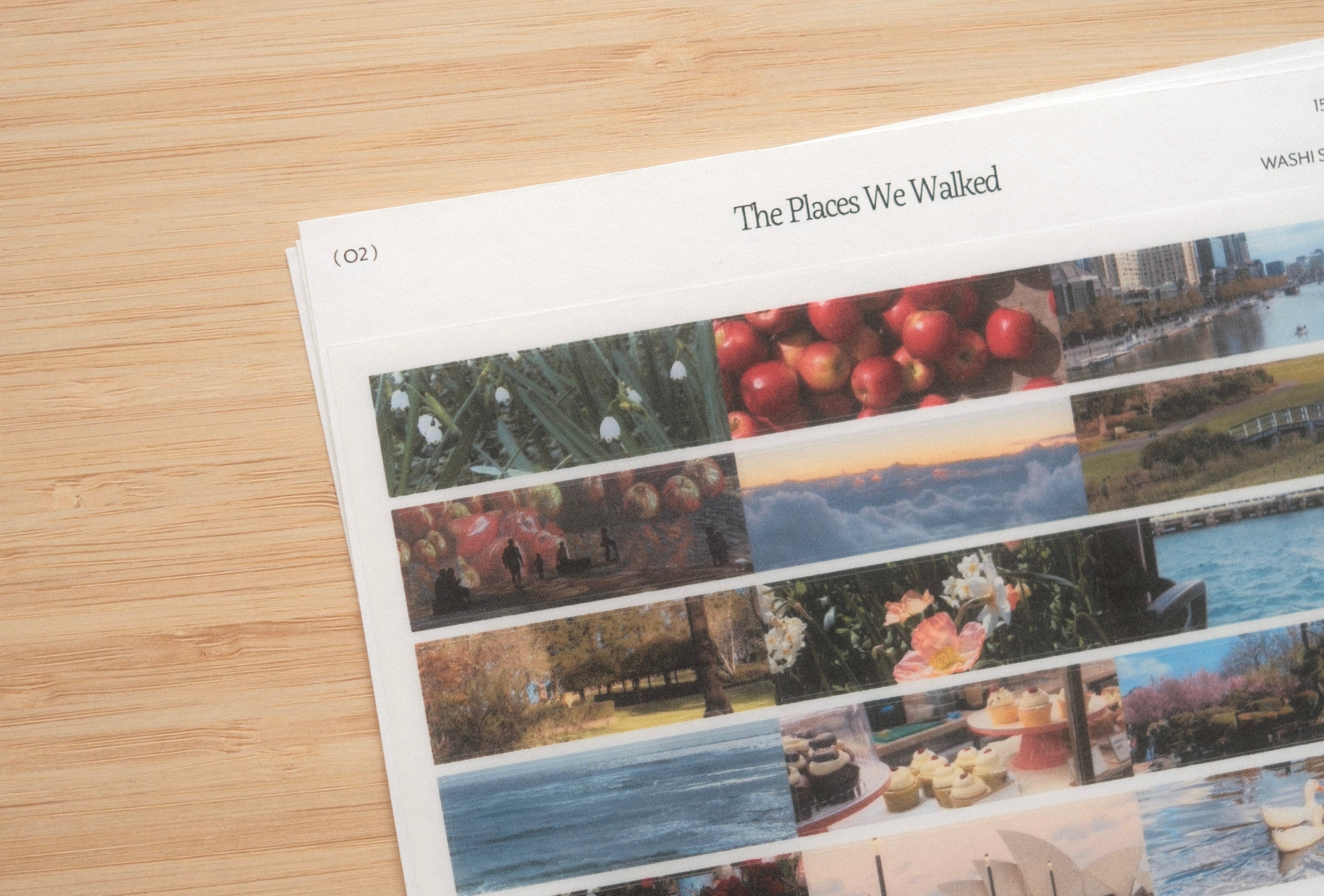 The Places We Walked Sticker Sheet (4 designs)