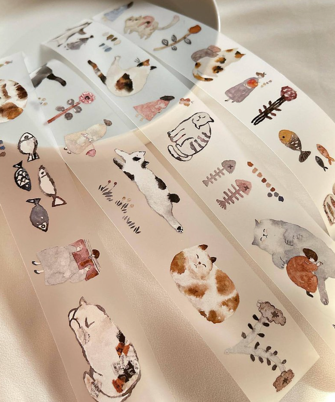 Pion Cat Girl PET Tape