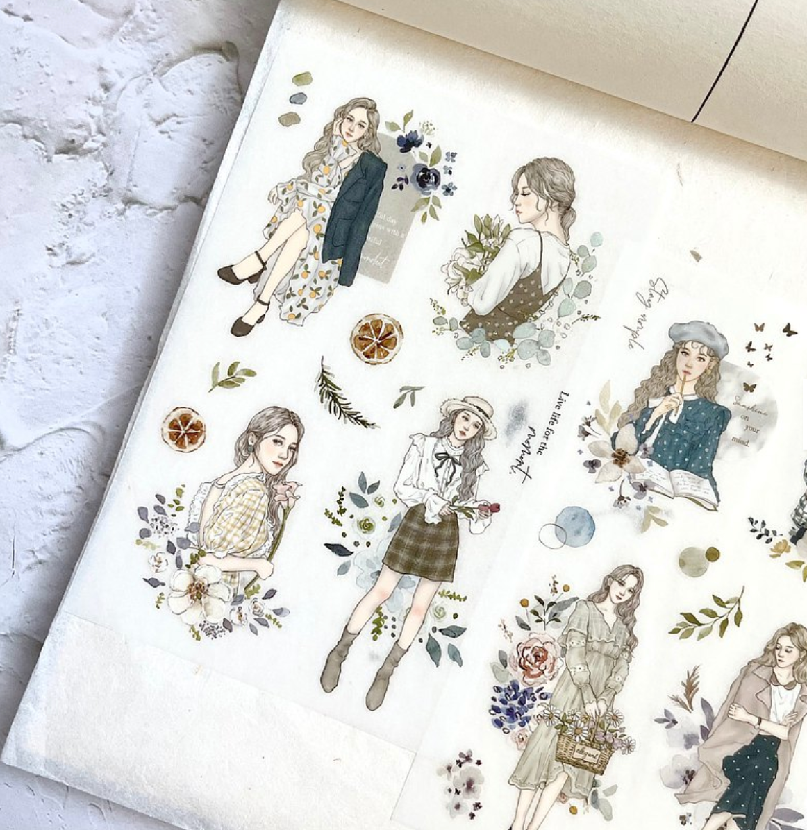 Pion Transfer Stickers (Pack of 3): Elegant