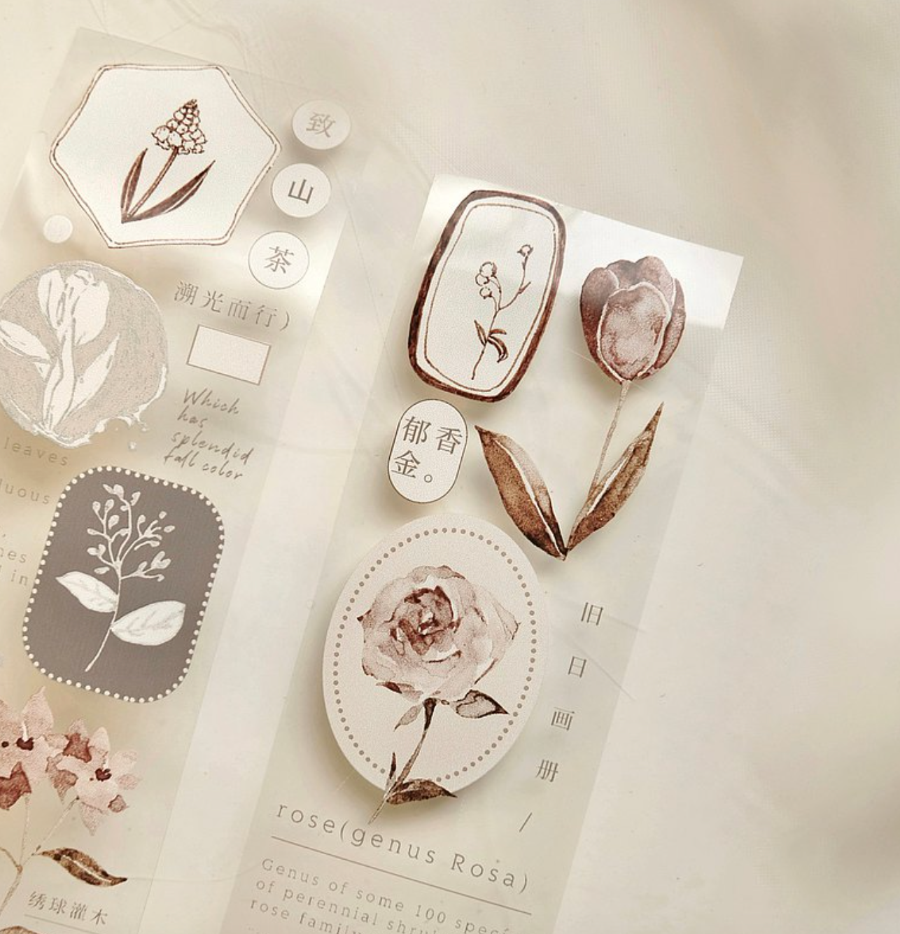 Freckles Tea Vol. 3 PET Tape: Autumn Leaves
