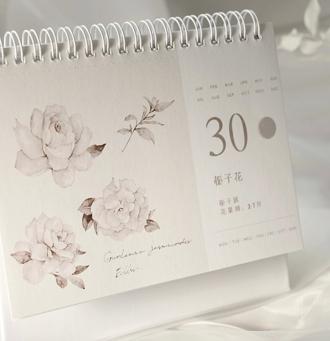Freckles Tea Vol. 3 Undated Month Calendar