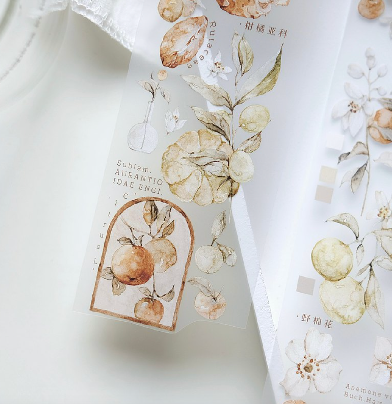 Freckles Tea Vol. 3 PET Tape: Tangerine Orange