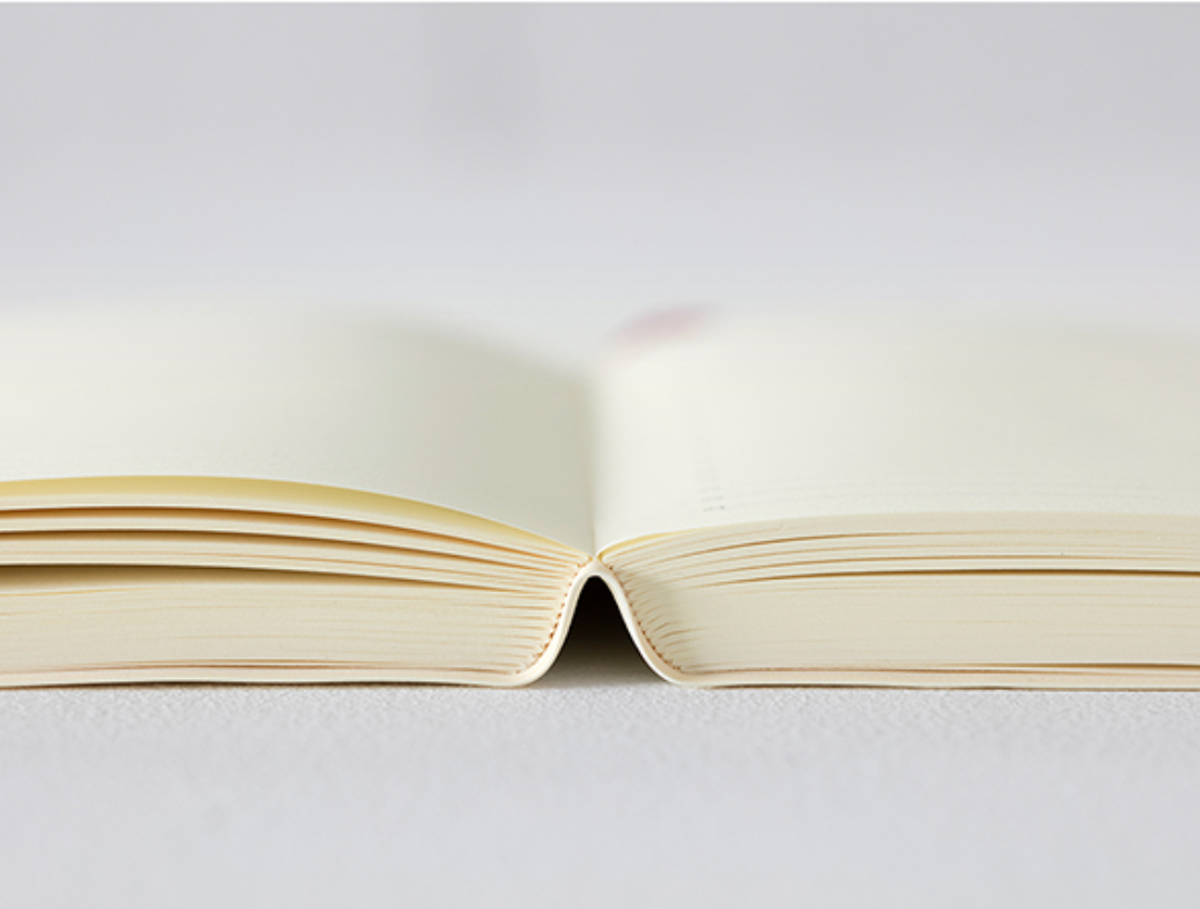Midori 2024 MD 1 Day 1 Page Diary-A6
