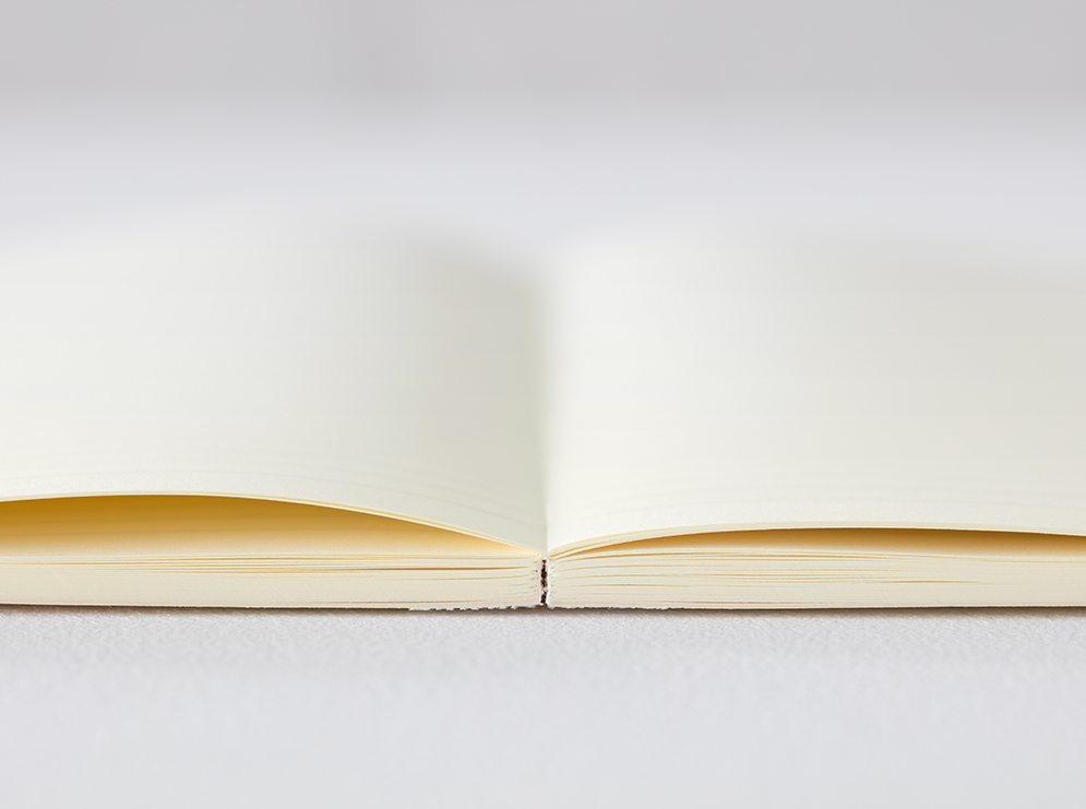 Midori 2025 MD Notebook Diary-A6
