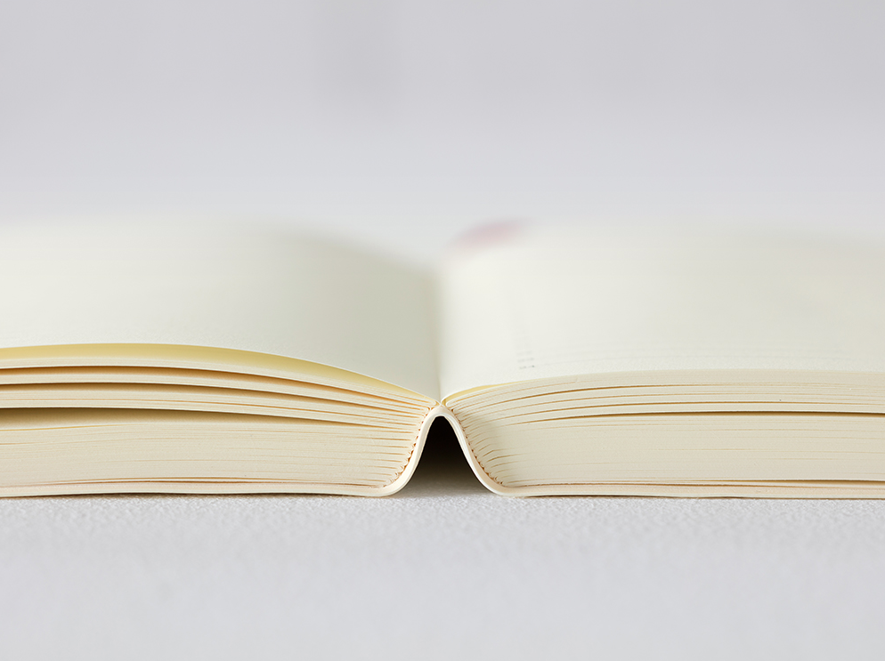 Midori 2024 MD 1 Day 1 Page Diary-A5