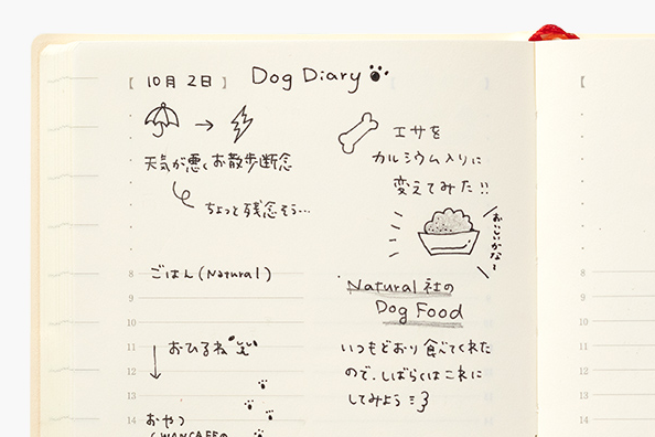 Midori 2024 MD 1 Day 1 Page Diary-A5