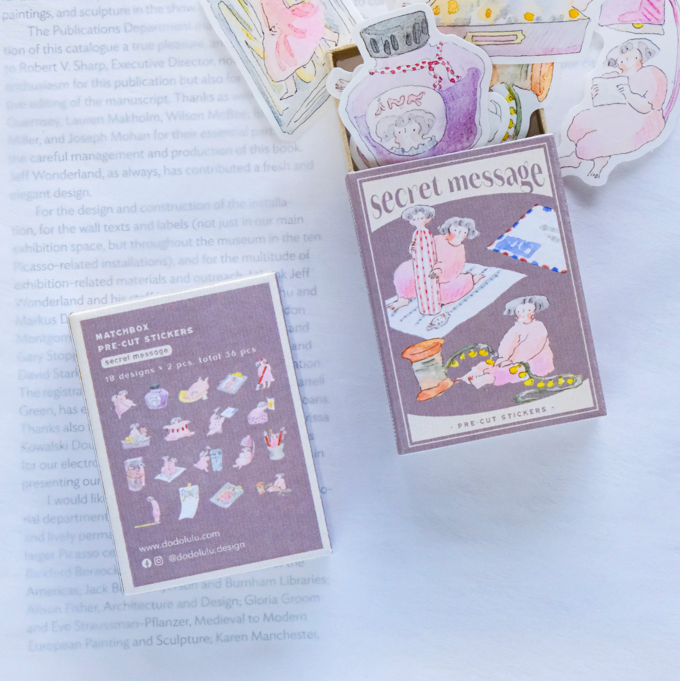 dodolulu Matchbox Flake Stickers: Secret Message