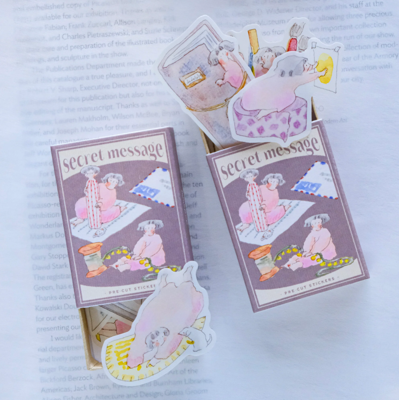 dodolulu Matchbox Flake Stickers: Secret Message