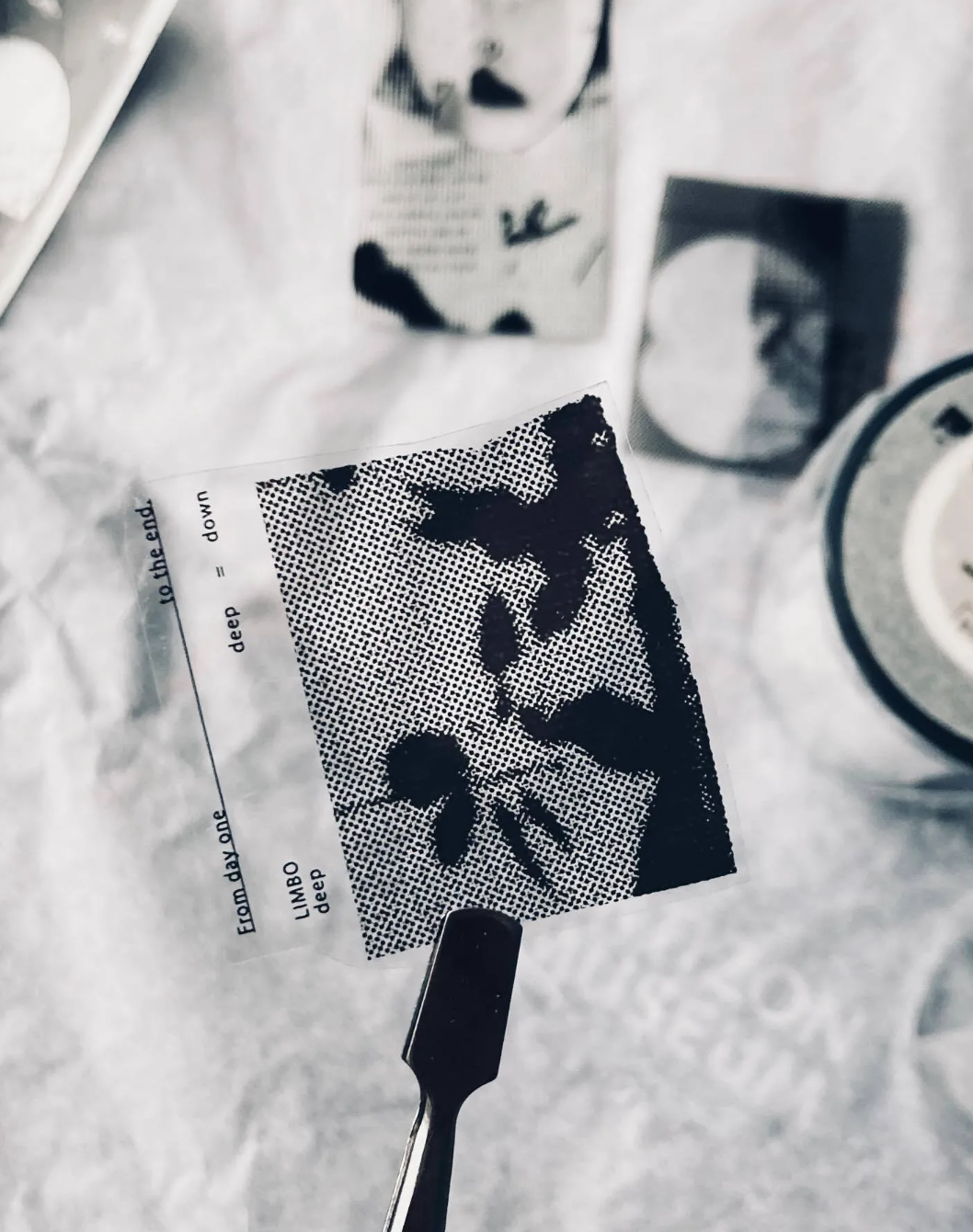 some sort of fern LIMBO PET Tape