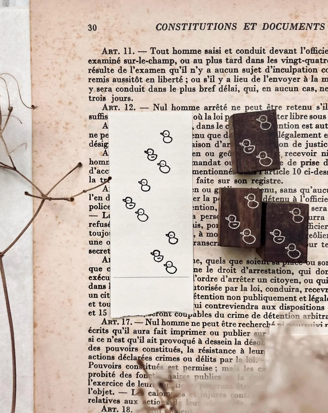 some sort of fern Bubble Flowers Rubber Stamp Series (7 designs, sold individually)