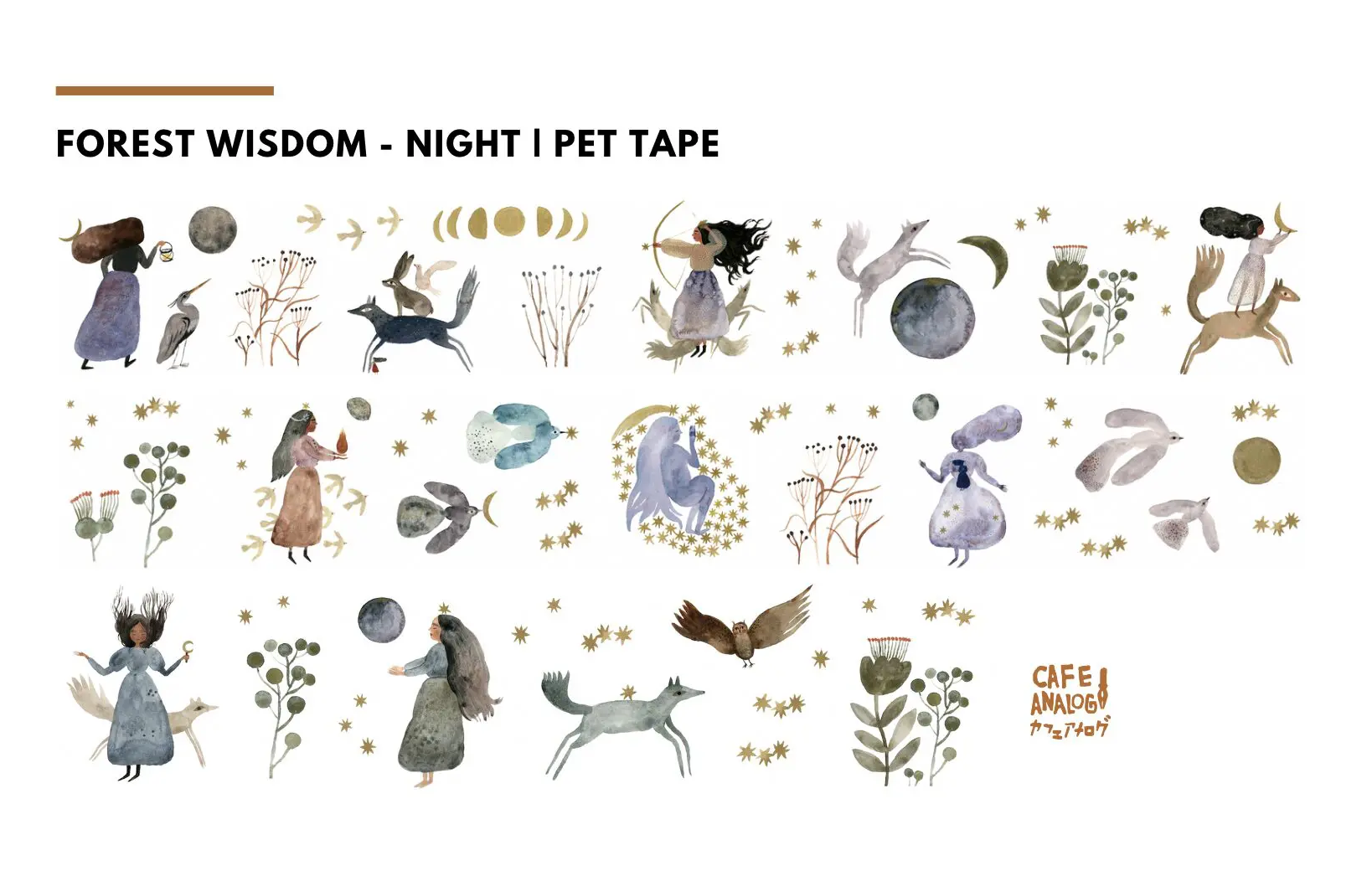 Forest Wisdom Night PET Tape Cafe Analog x Tijana Lukovic