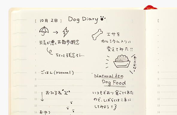 Midori 2026 MD 1 Day 1 Page Diary-A6