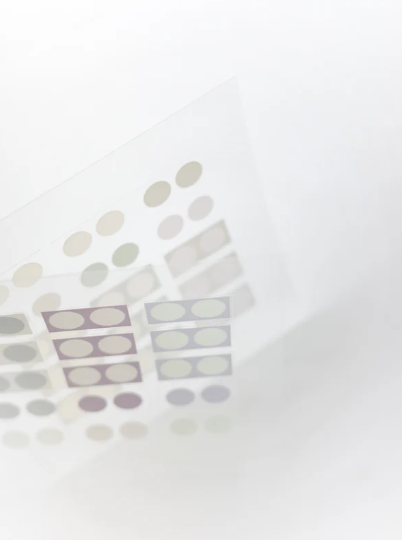 Nyret PET Stickers: Dot Pastel