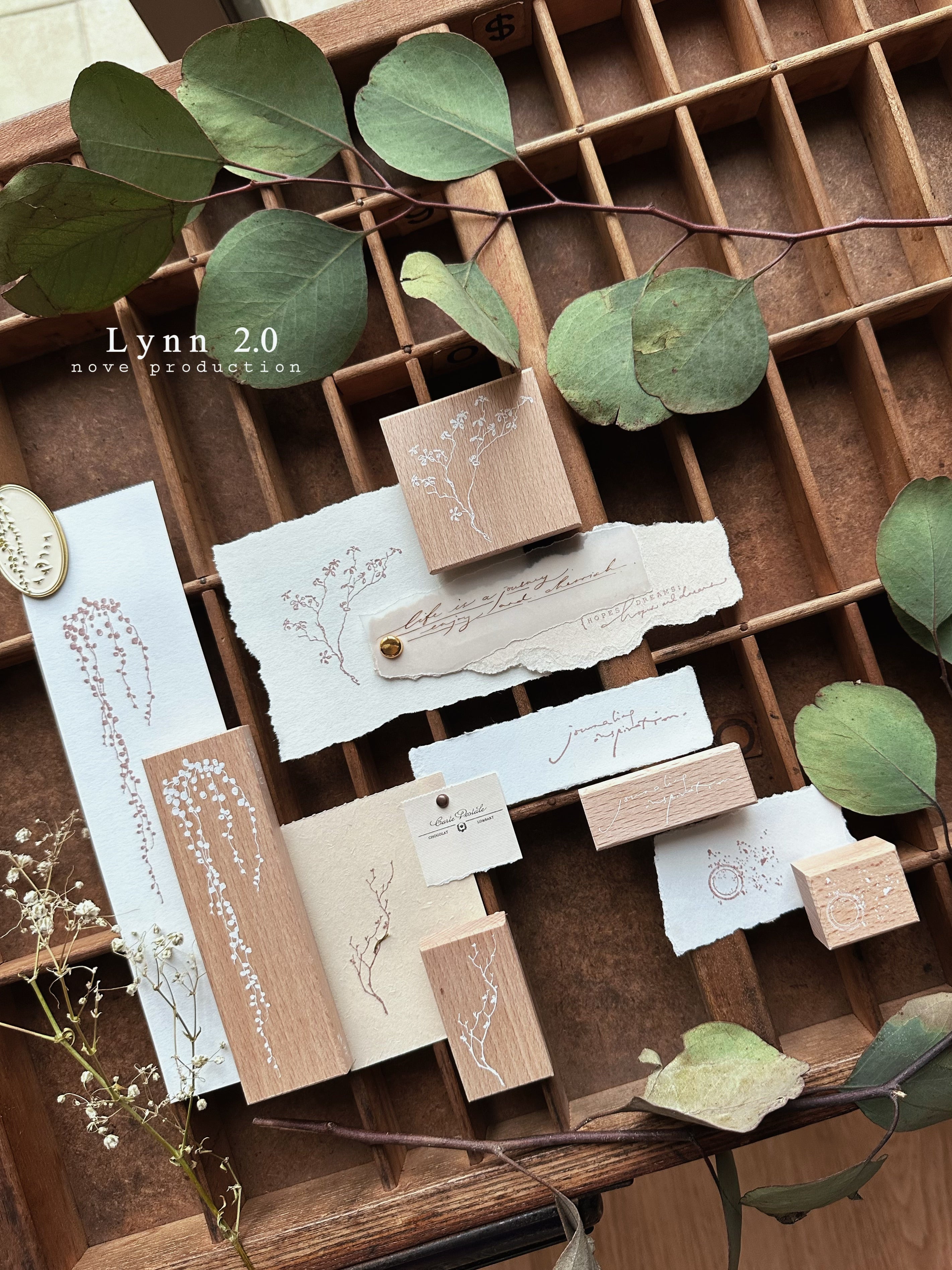 Nove Lynn 2.0 Rubber Stamp Collection (5 types)