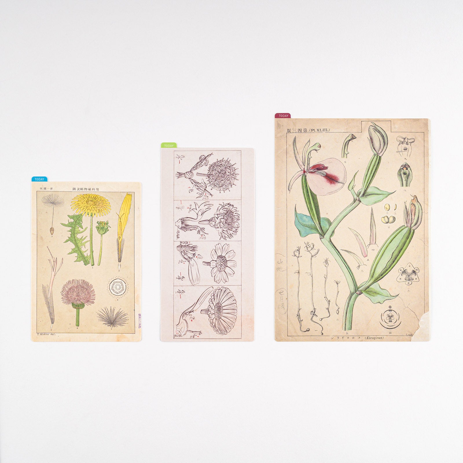 Hobonichi Techo Tomirato Makino Pencil Board (3 Sizes)