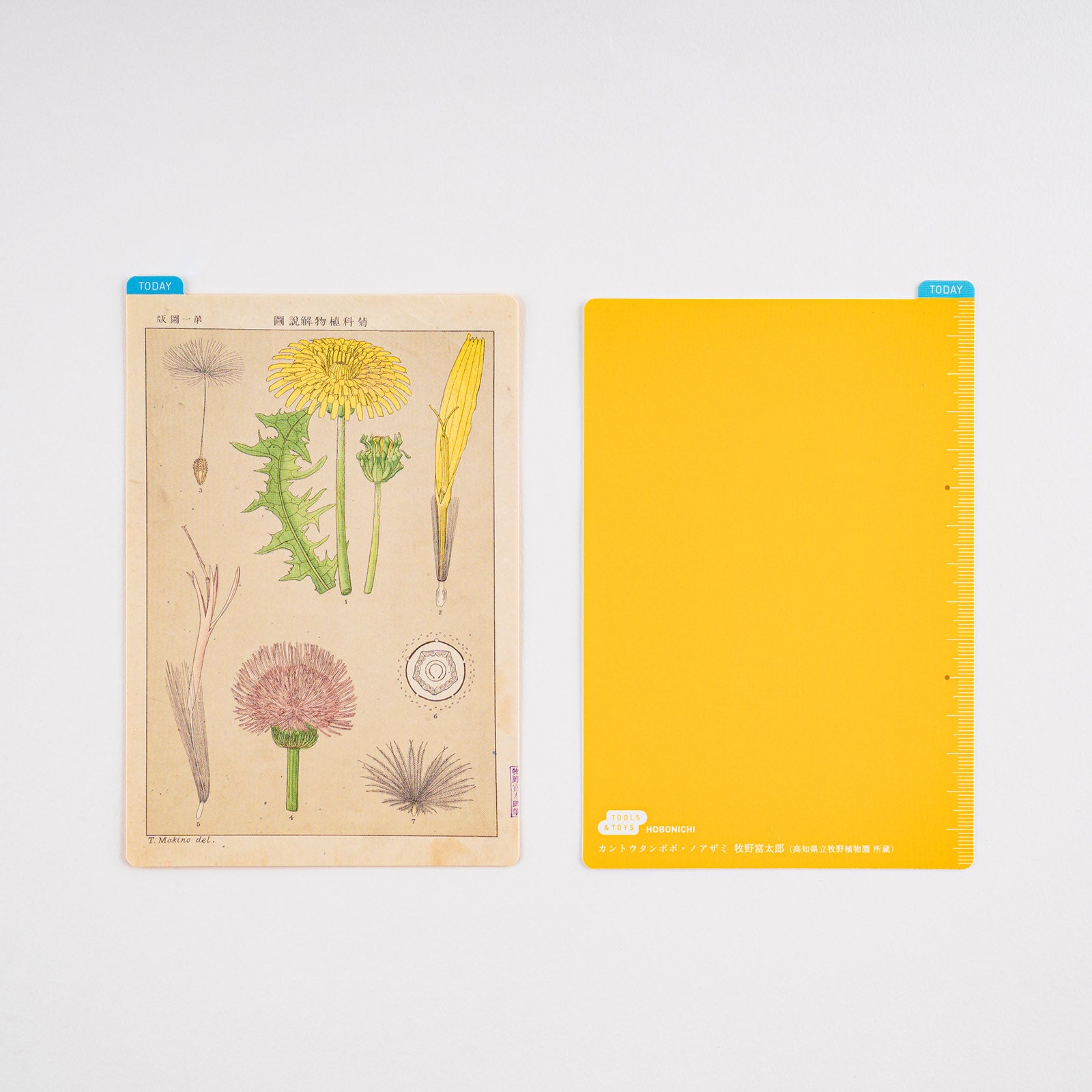 Hobonichi Techo Tomirato Makino Pencil Board (3 Sizes)
