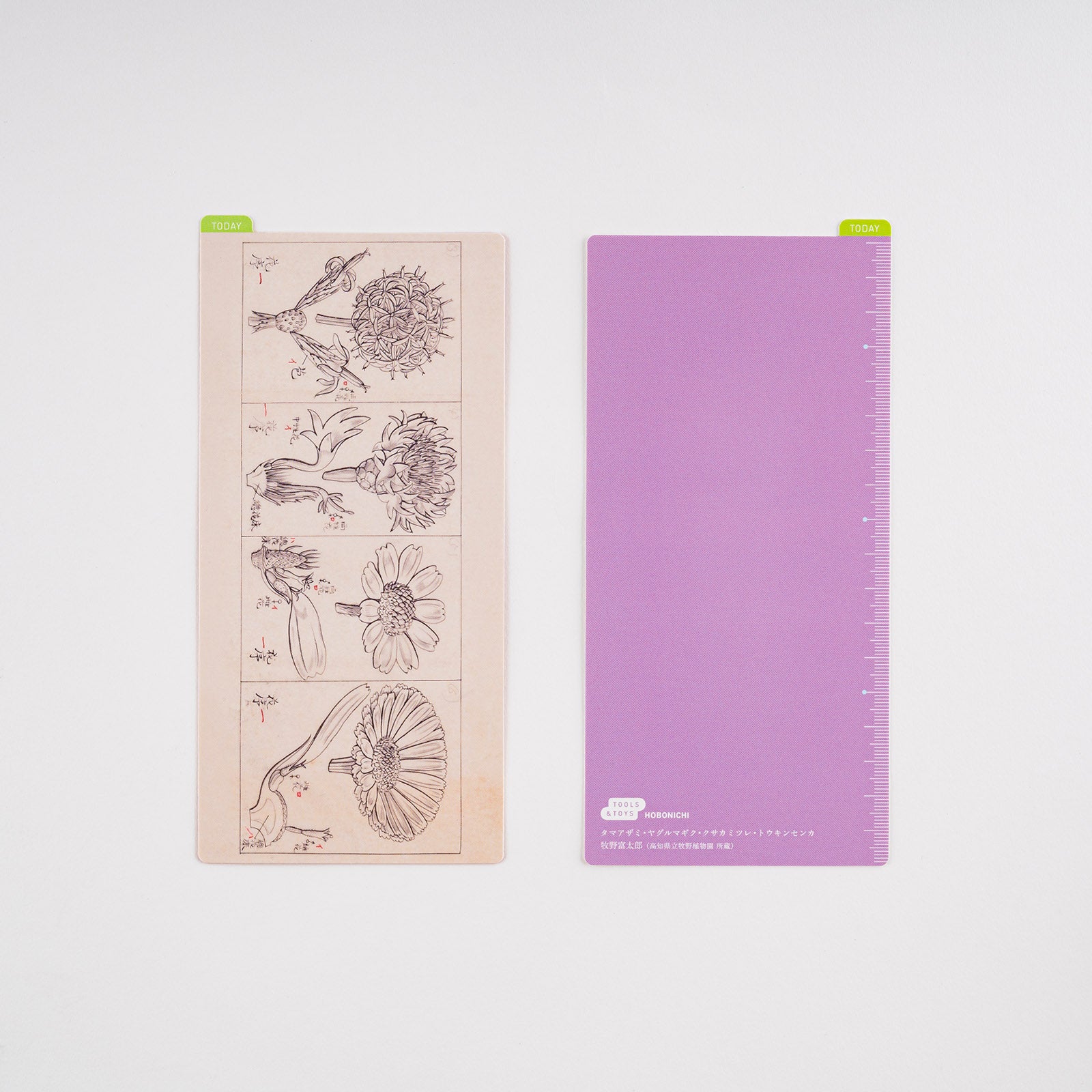 Hobonichi Techo Tomirato Makino Pencil Board (3 Sizes)