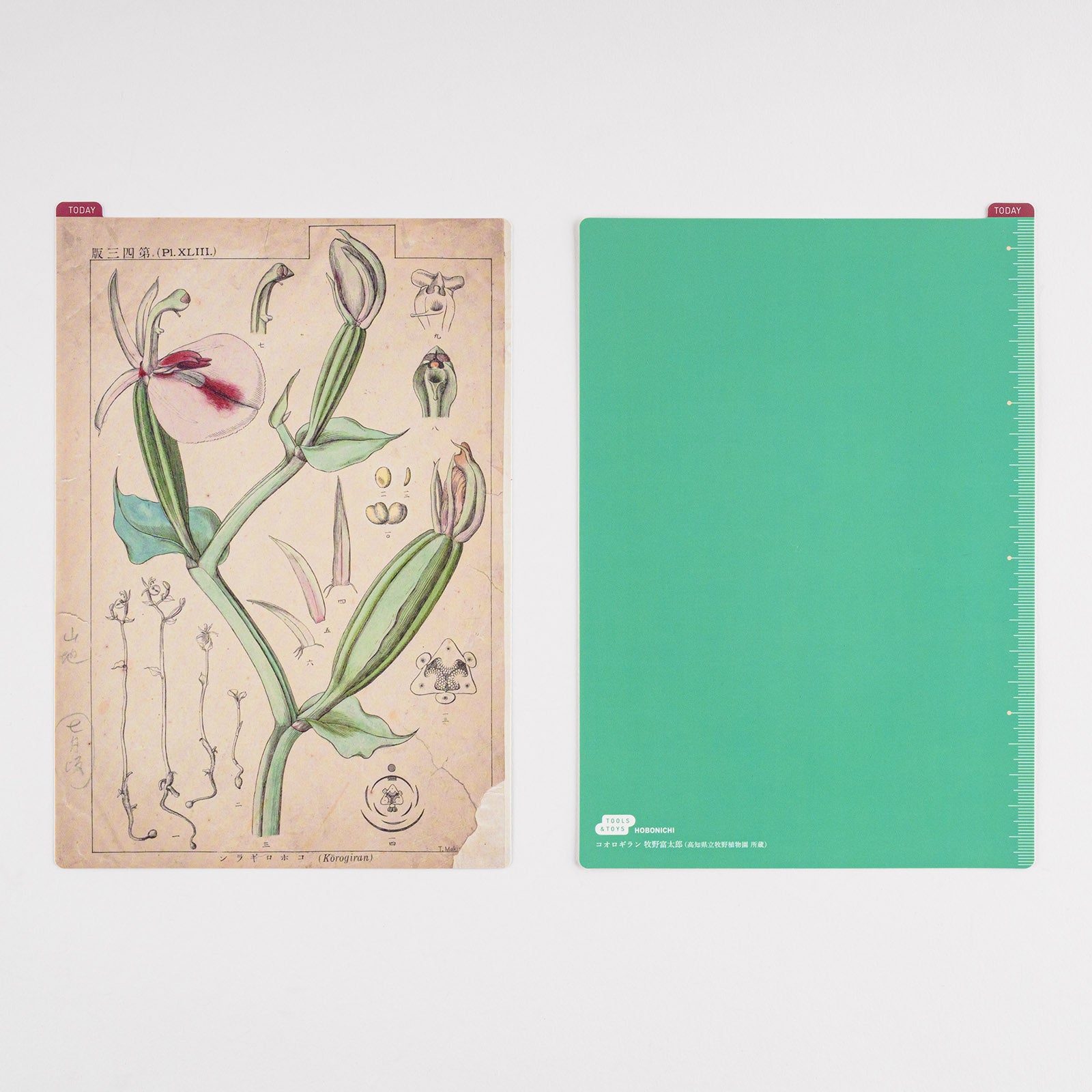 Hobonichi Techo Tomirato Makino Pencil Board (3 Sizes)