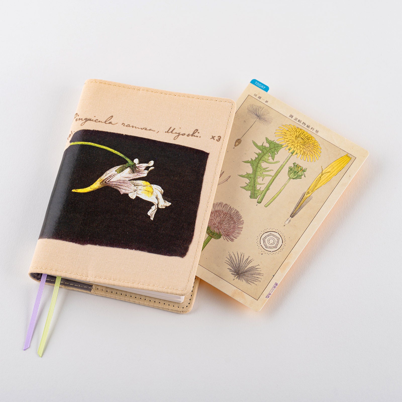 Hobonichi Techo Tomirato Makino Pencil Board (3 Sizes)