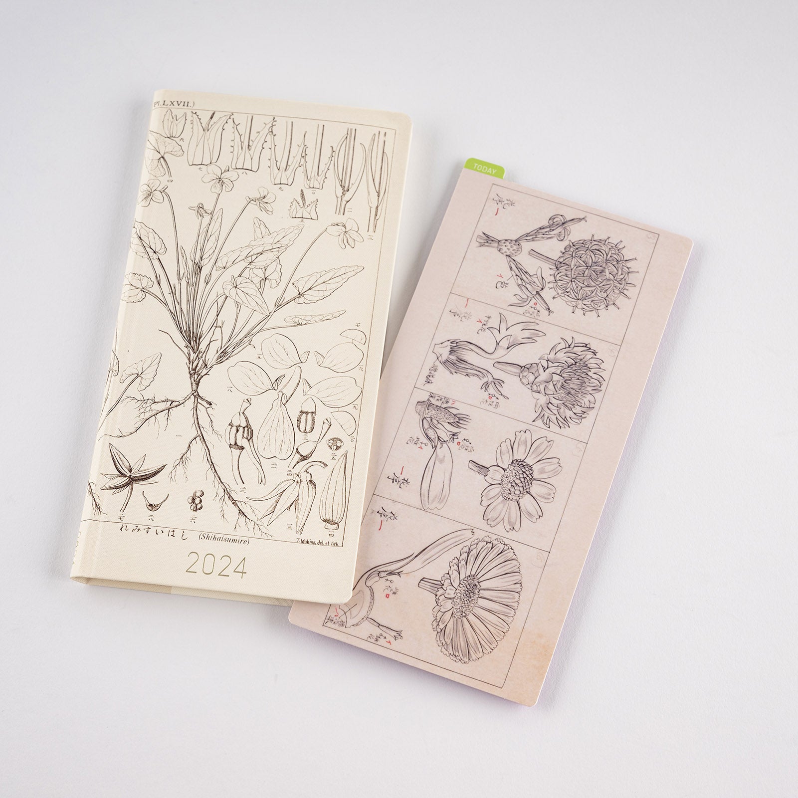Hobonichi Techo Tomirato Makino Pencil Board (3 Sizes)