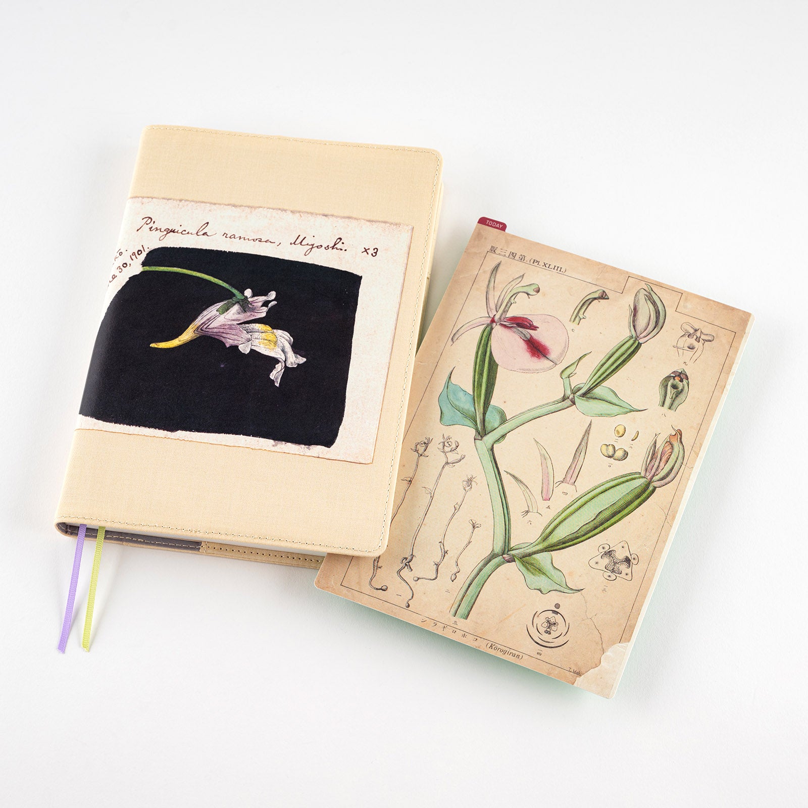 Hobonichi Techo Tomirato Makino Pencil Board (3 Sizes)
