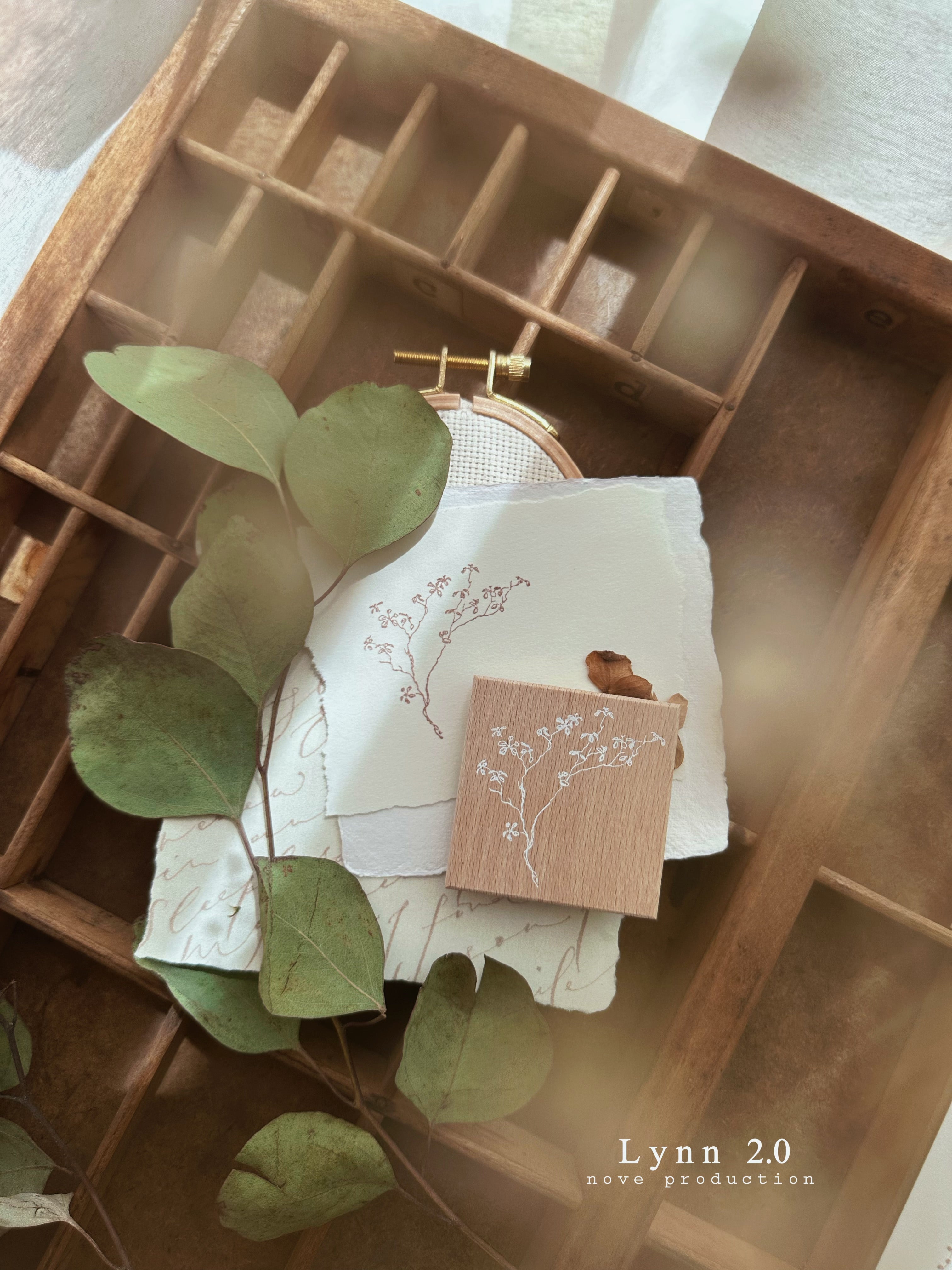 Nove Lynn 2.0 Rubber Stamp Collection (5 types)