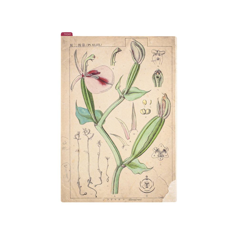 Hobonichi Techo Tomirato Makino Pencil Board (3 Sizes)