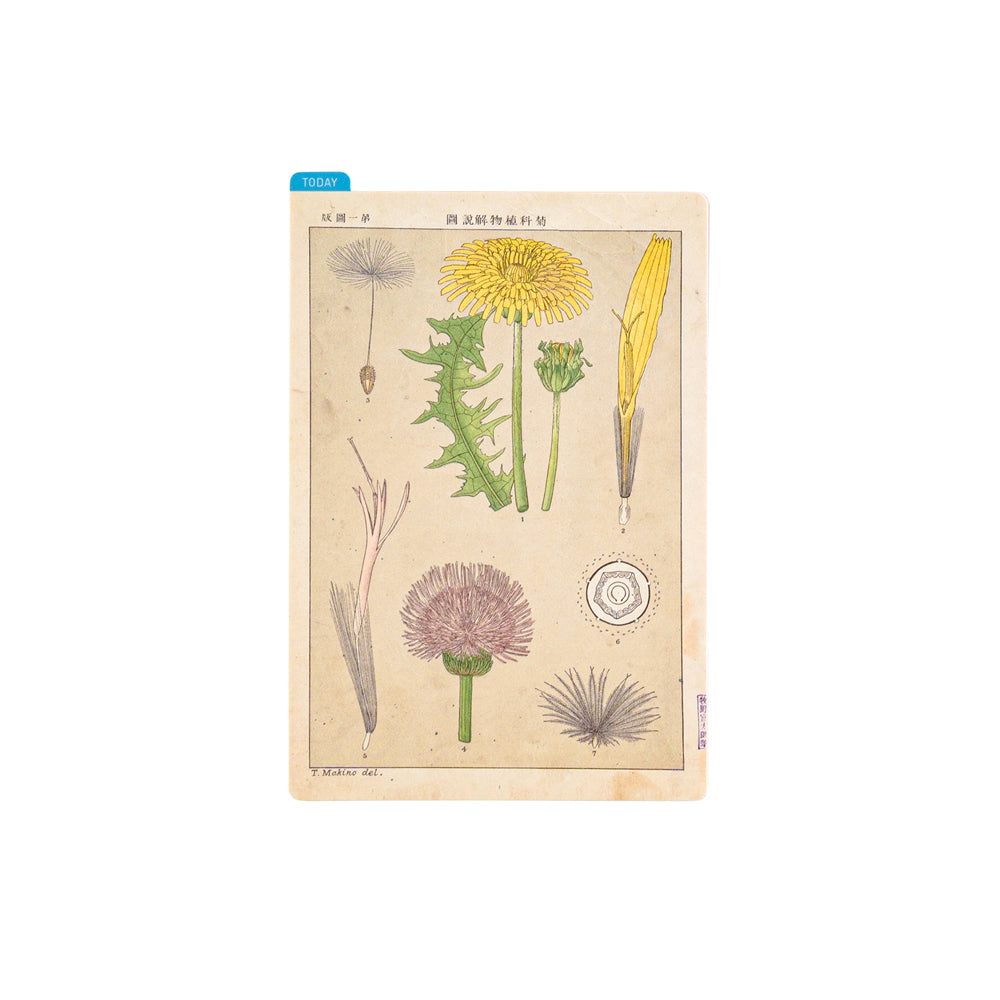 Hobonichi Techo Tomirato Makino Pencil Board (3 Sizes)