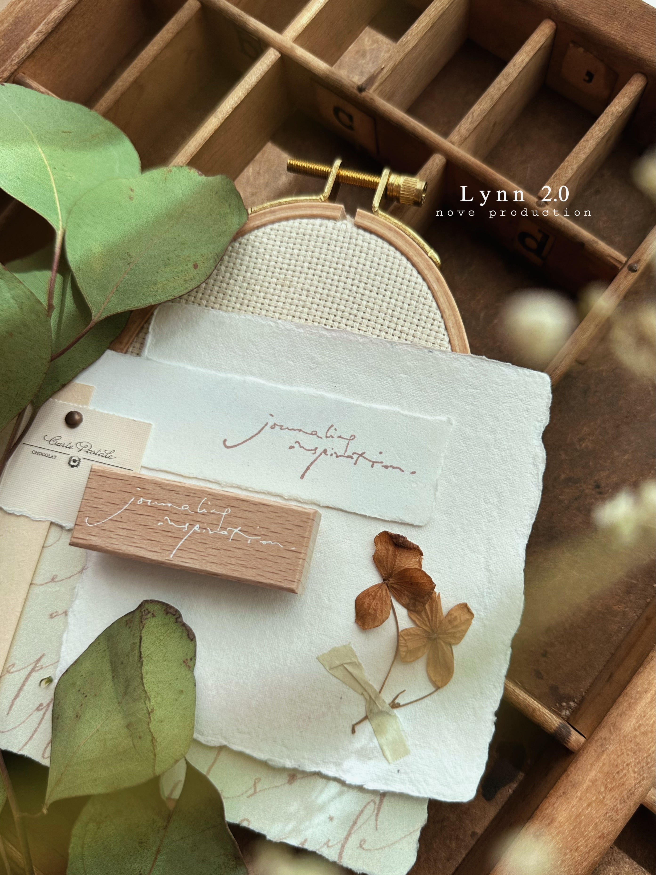 Nove Lynn 2.0 Rubber Stamp Collection (5 types)