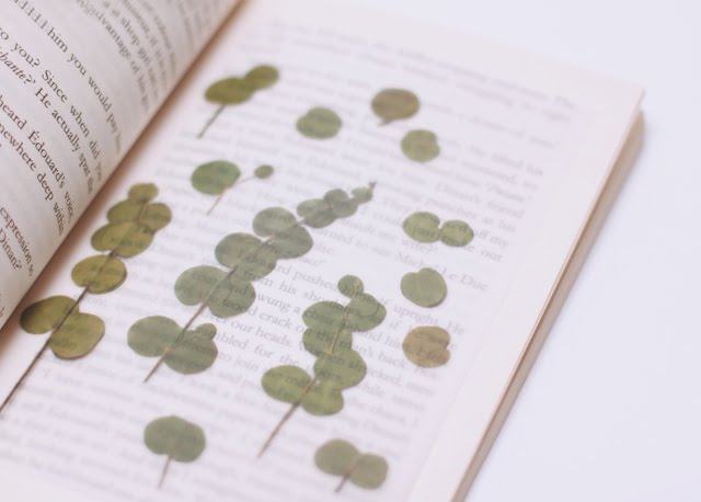 Appree Pressed Stickers- 002 Eucalyptus - Smidapaper Ikigai Shop