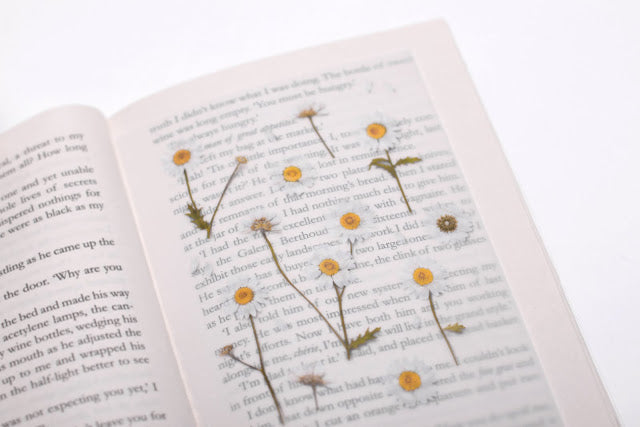 Appree Pressed Stickers- 004 Marguerite - Smidapaper Ikigai Shop