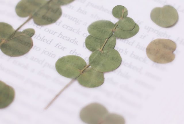 Appree Pressed Stickers- 002 Eucalyptus - Smidapaper Ikigai Shop