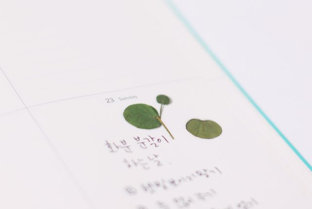 Appree Pressed Stickers- 002 Eucalyptus - Smidapaper Ikigai Shop