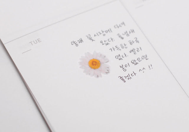 Appree Pressed Stickers- 004 Marguerite - Smidapaper Ikigai Shop