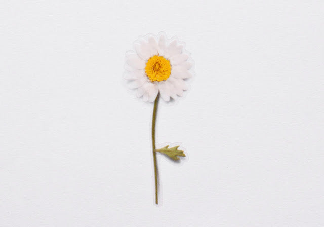 Appree Pressed Stickers- 004 Marguerite - Smidapaper Ikigai Shop