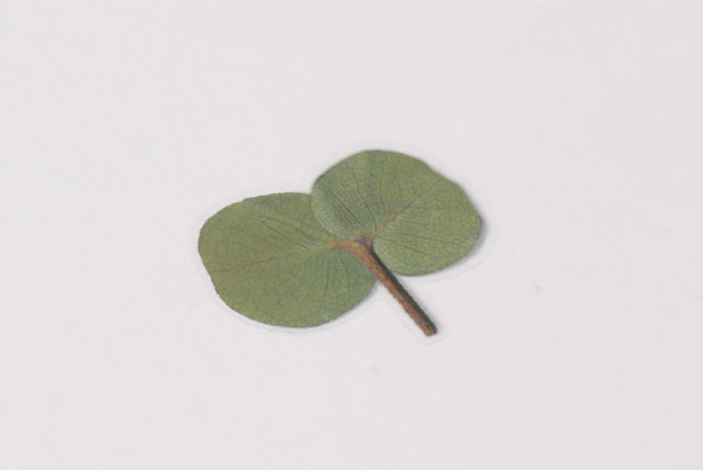 Appree Pressed Stickers- 002 Eucalyptus - Smidapaper Ikigai Shop