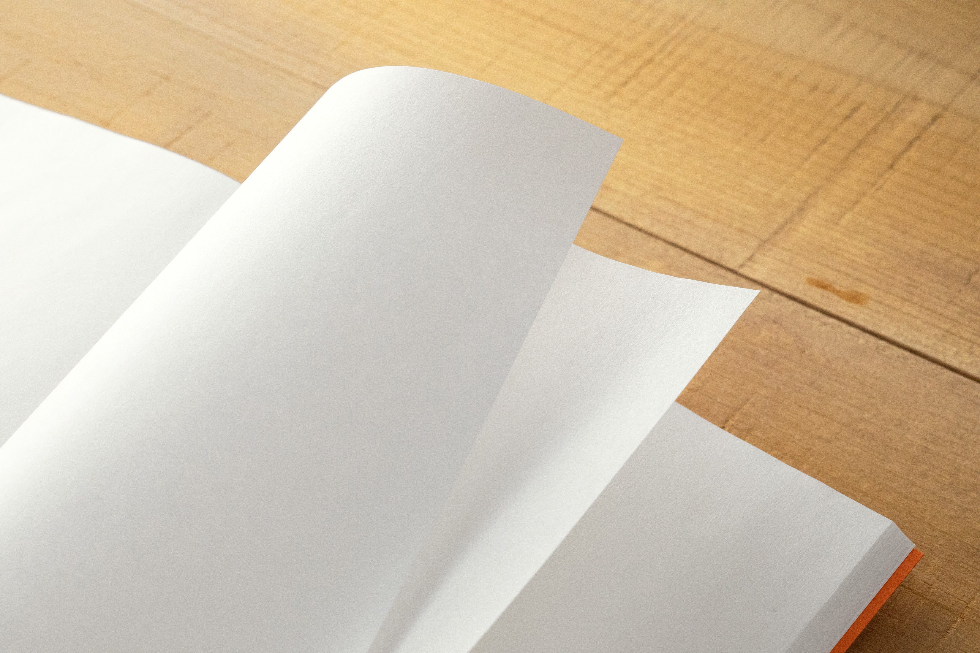 Traveler's Notebook B-Sides & Rarities: Super Lightweight Paper - Smidapaper Ikigai Shop