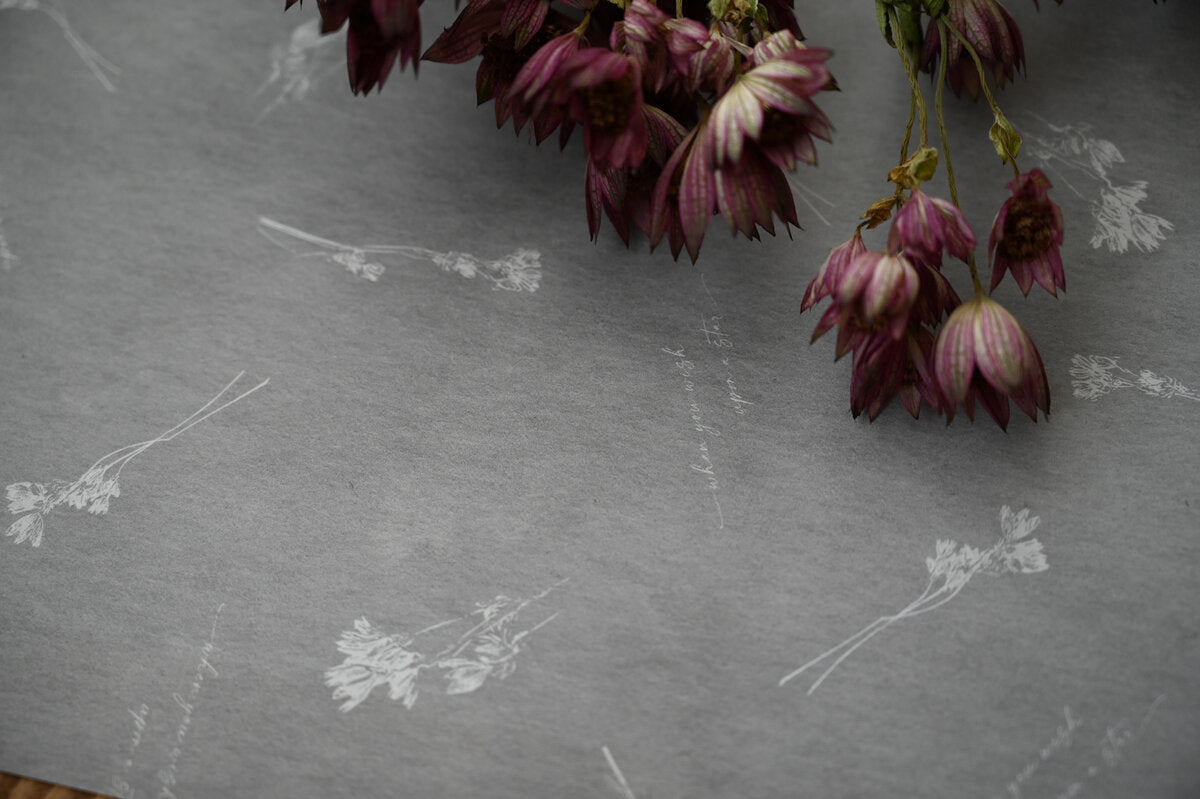 Tutty Design A4 Wrapping Paper: Astralantia: Slate Gray - Smidapaper Ikigai Shop