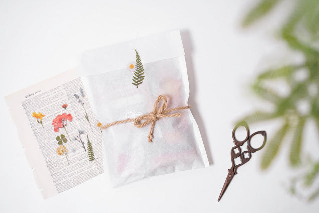 Appree Pressed Stickers- 003 Bracken - Smidapaper Ikigai Shop