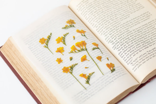Appree Pressed Stickers- 007 Freesia - Smidapaper Ikigai Shop