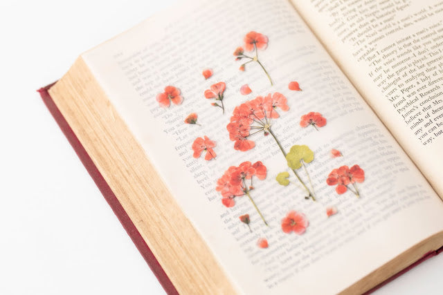 Appree Pressed Stickers- 009 Geranium - Smidapaper Ikigai Shop