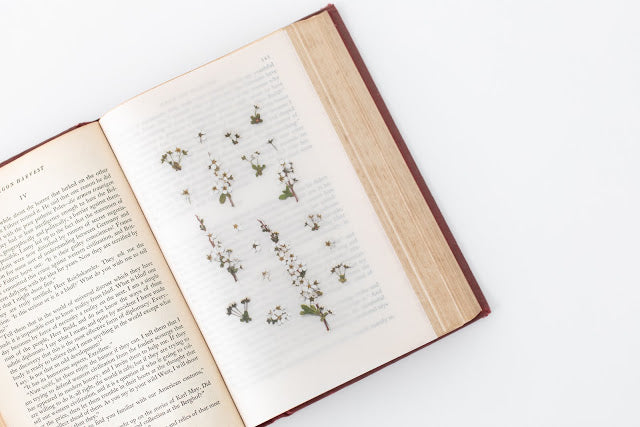 Appree Pressed Stickers- 010 Bridal Wreath - Smidapaper Ikigai Shop