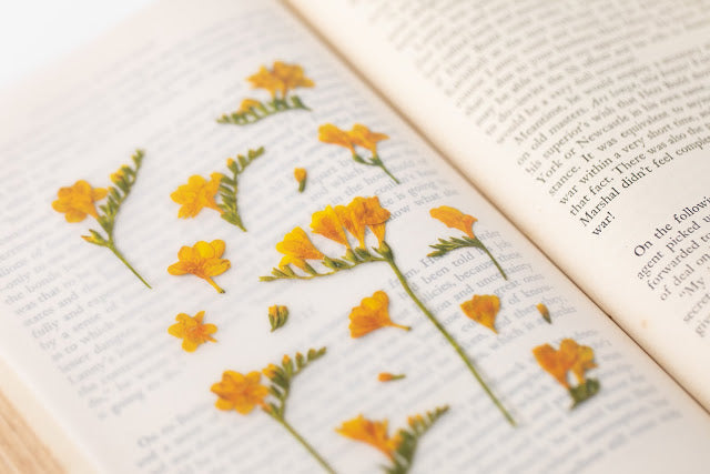 Appree Pressed Stickers- 007 Freesia - Smidapaper Ikigai Shop